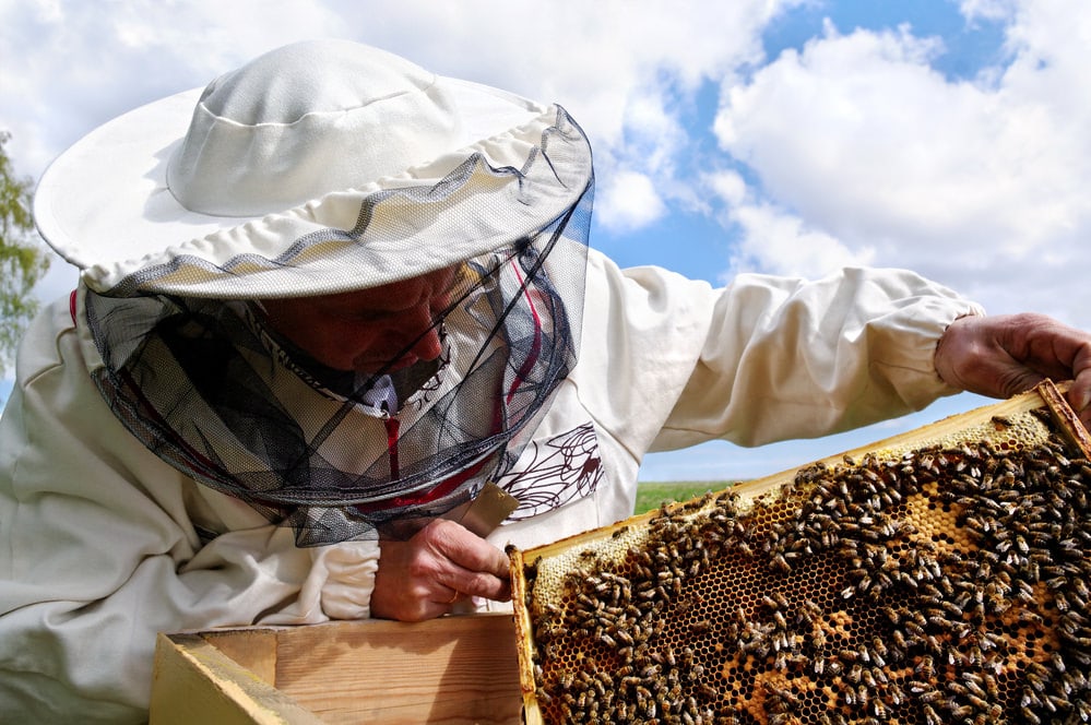 beekeeper with hive